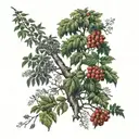 Rowan tree and hawthorn tree intertwined tattoo design idea