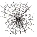 Spider Web tattoo design idea