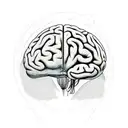 brain with neurons extending tattoo design idea
