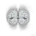 brain wirh spinal cord extending as neurons tattoo design idea