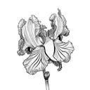 iris tattoo design idea