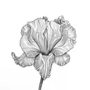 iris tattoo design idea