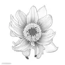 daffodils, chrysanthemum, butterfly  tattoo design idea
