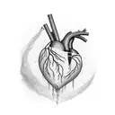 veins around heart tattoo design idea