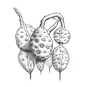 potato plant tattoo design idea