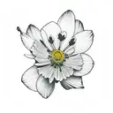 geranium, cherry blossom, roses, lotus, aster, cosmos, camellia and narcissus flower tattoo design idea