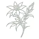 music notes as sheet music with a white edelweiss flower behind them. small, no bigger than 3 inches minimalistic piece  tattoo design idea