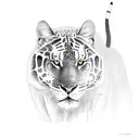 A stack of books with each book cover depicting a different species of big cat, set against a backdrop of a dense rainforest tattoo design idea