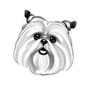 Shih tzu tattoo design idea