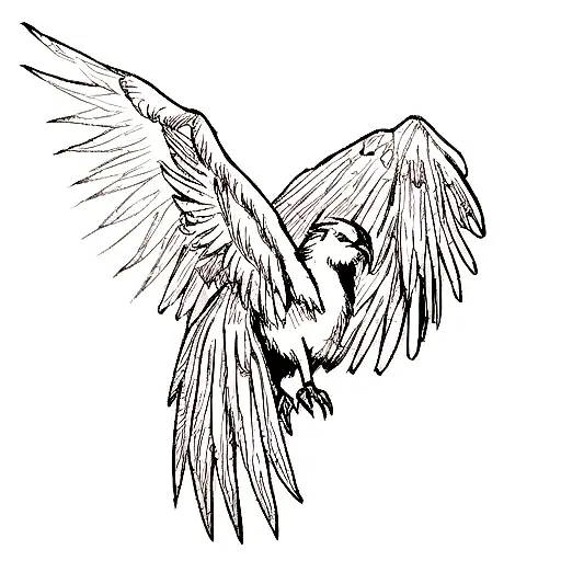 gryphon, black and white, flying, glorious, drawning tattoo design idea
