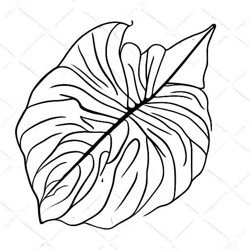Monstera Leaf tattoo design idea
