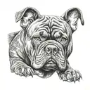 American bully dog tattoo design idea