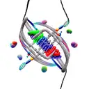 dna string with bushido codex tattoo design idea