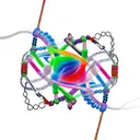 dna string with bushido codex tattoo design idea