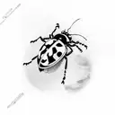 Ladybug tattoo design idea
