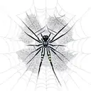 Spider Web tattoo design idea