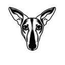 greyhound tattoo design idea