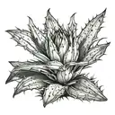 dead agave plant tattoo design idea