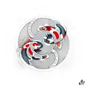 Koi Fishes making ying yang symbol  tattoo design idea
