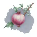pomegranate branch surrounded by ceramic back tattoo  tattoo design idea