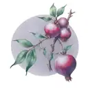 pomegranate branch surrounded by ceramic back tattoo  tattoo design idea
