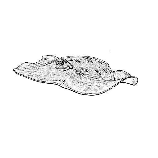 a stingray tattoo design idea