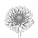 Small Chrysanthemum flower tattoo design idea
