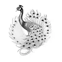 Peacock tattoo design idea