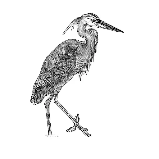 a blue heron tattoo design idea