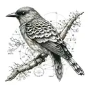 scientific diagram bird tattoo design idea
