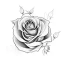 dead Rose tattoo design idea