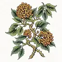 Rowan tree tattoo design idea