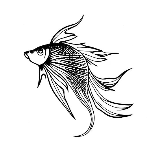 Tattoo uploaded by Pini • Betta fish #fish #betta #bettafish #red  #aquarelle #munich #illustration #illustrative #semirealism #fineart •  Tattoodo
