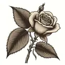 Small simple rose without color qith 224 written in the stem (stem should be long and slim. to put on my side tattoo design idea