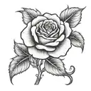 simple rose without color qith 224 mid stem to put on my side tattoo design idea