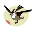 Sparrow tattoo design idea
