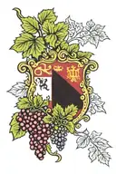Moldovan flag with grapes and patterns tattoo design idea