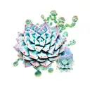 A collection of various succulents and cacti tattoo design idea