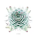 A collection of various succulents and cacti tattoo design idea