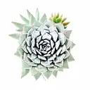 A collection of various succulents and cacti tattoo design idea