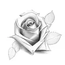 Dove with a rose tattoo design idea