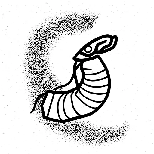 shrimp  tattoo design idea