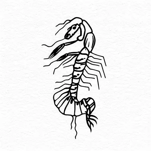 shrimp aesthetic tattoo design idea