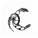 shrimp  tattoo design idea