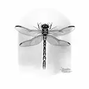 Dragonfly tattoo design idea