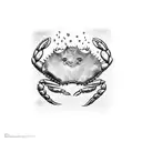crab ocean empathy tattoo design idea