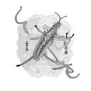 religious mantis  tattoo design idea