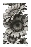 Daisy flower tattoo design idea