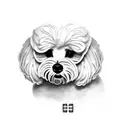 bichon maltes tattoo design idea