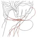 red string tied together tattoo design idea